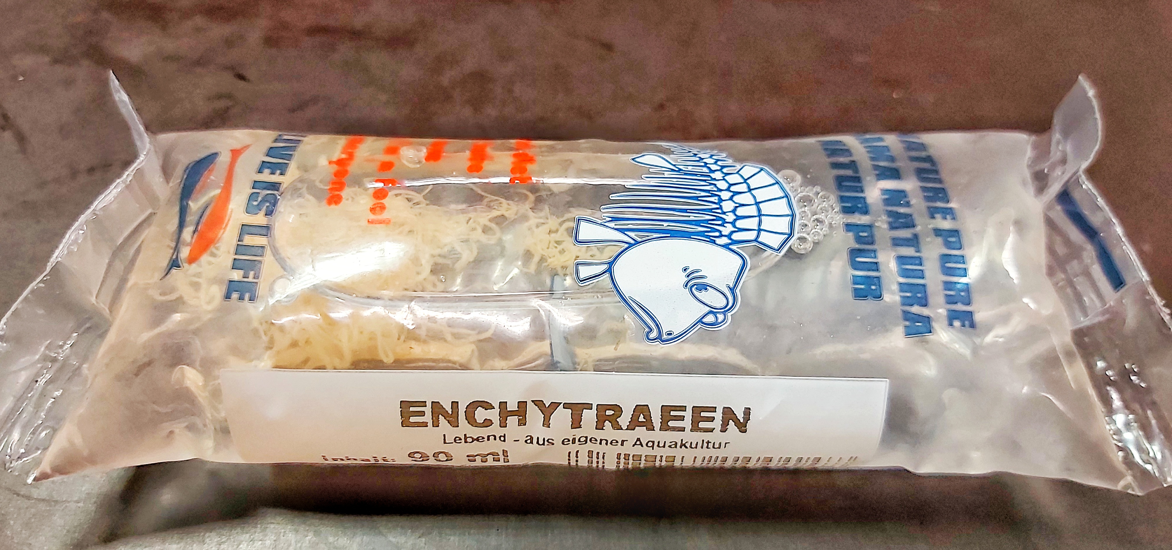 Enchytraeen – Lebendfutter