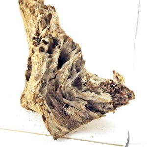 Wurzel-128.jpg