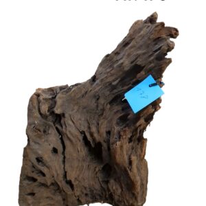 Mangrovenwurzel-Nr-178_.jpg