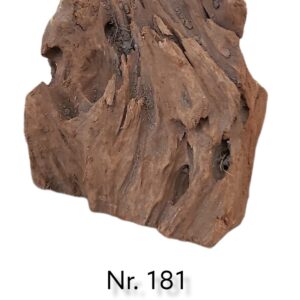 Mangrovenwurzel-Nr-181.jpg