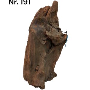 Mangrovenwurzel-Nr-191V5qxNhck00pZQ.jpg