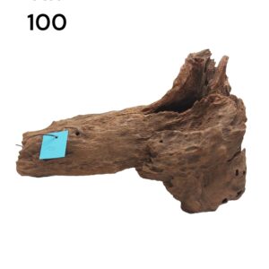 Mangrovenwurzel-Nr-100owqFgaFaBw9tZ.jpg