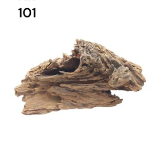 Mangrovenwurzel-Nr-101BEymLwpjI7LtY.jpg