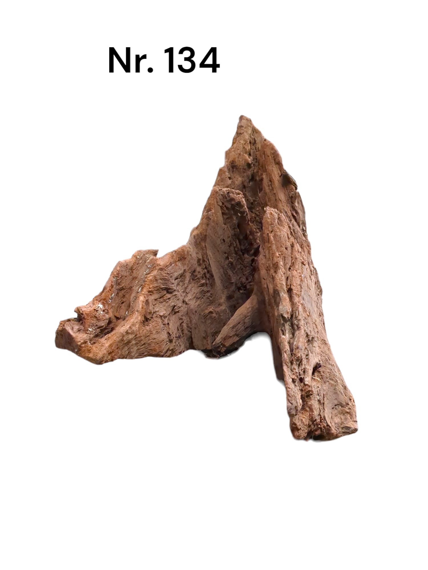 Mangrovenwurzel Nr. 134