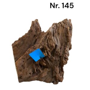 Mangrovenwurzel-Nr-145_1iZOwU3AlIQHaX.jpg