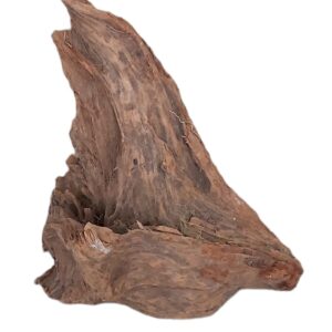 Mangrovenwurzel-Nr-174.jpg