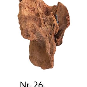 Mangrovenwurzel-Nr-26.jpg
