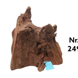 Mangrovenwurzel-Nr-249_.jpg