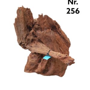 Mangrovenwurzel-Nr-256_.jpg