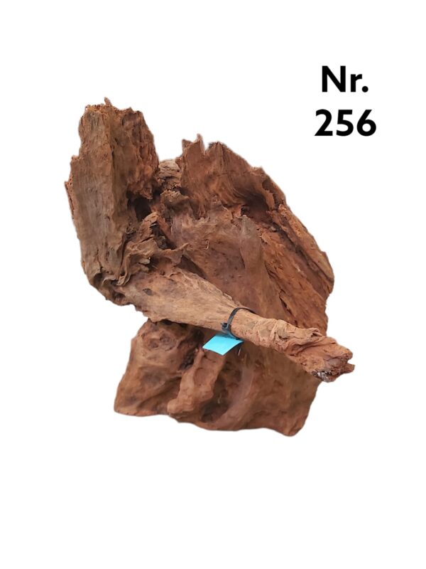 Mangrovenwurzel-Nr-256_.jpg
