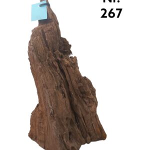 Mangrovenwurzel-Nr-267__.jpg