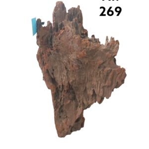Mangrovenwurzel-Nr-269ov8fq1BnTuUcO.jpg