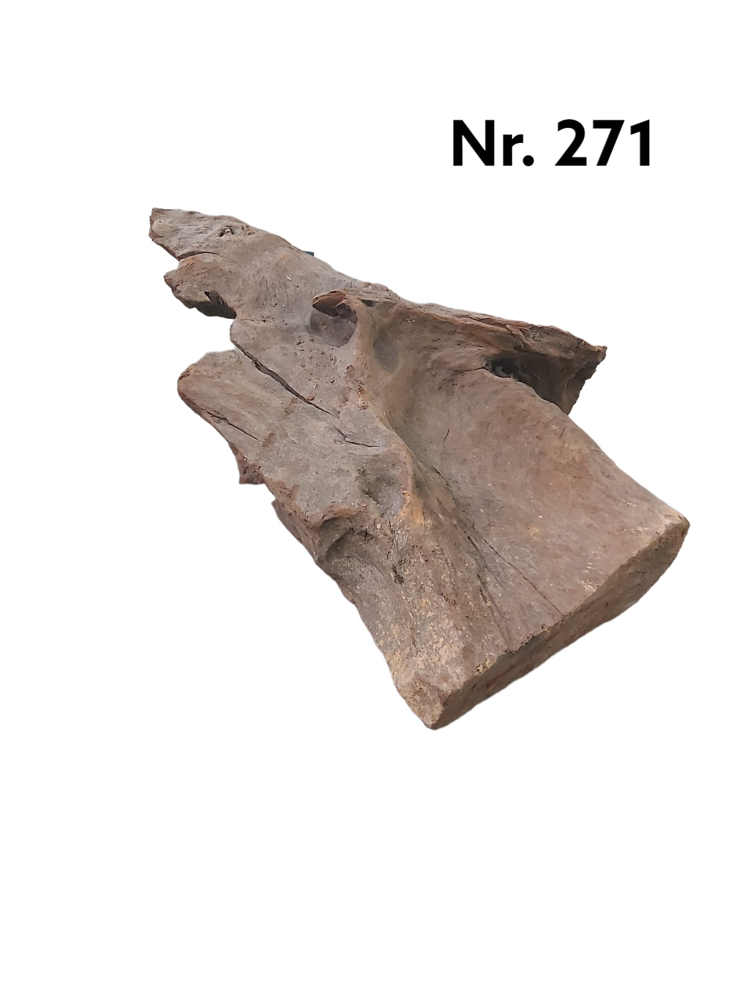 Mangrovenwurzel-Nr-27133D9qoMaDsg3Z.jpg