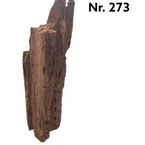 Mangrovenwurzel-Nr-273.jpg