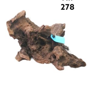 Mangrovenwurzel-Nr-2783uFZ3CT55hFEu.jpg