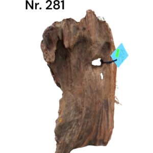 Mangrovenwurzel-Nr-281.jpg