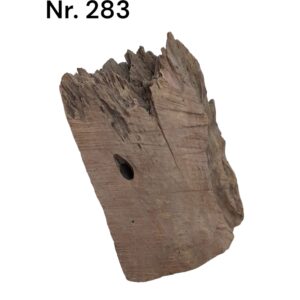 Mangrovenwurzel-Nr-283_.jpg