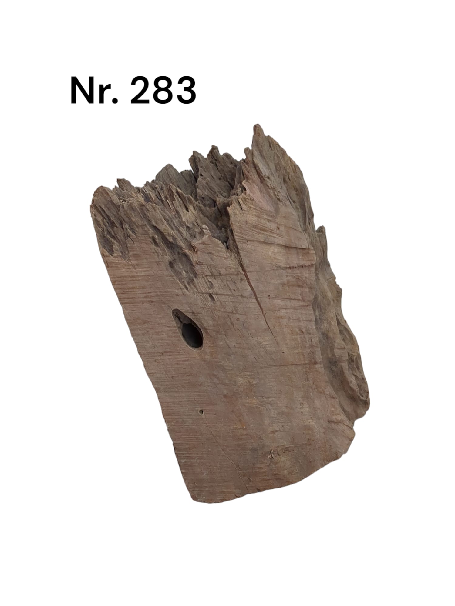 Mangrovenwurzel-Nr-283_.jpg