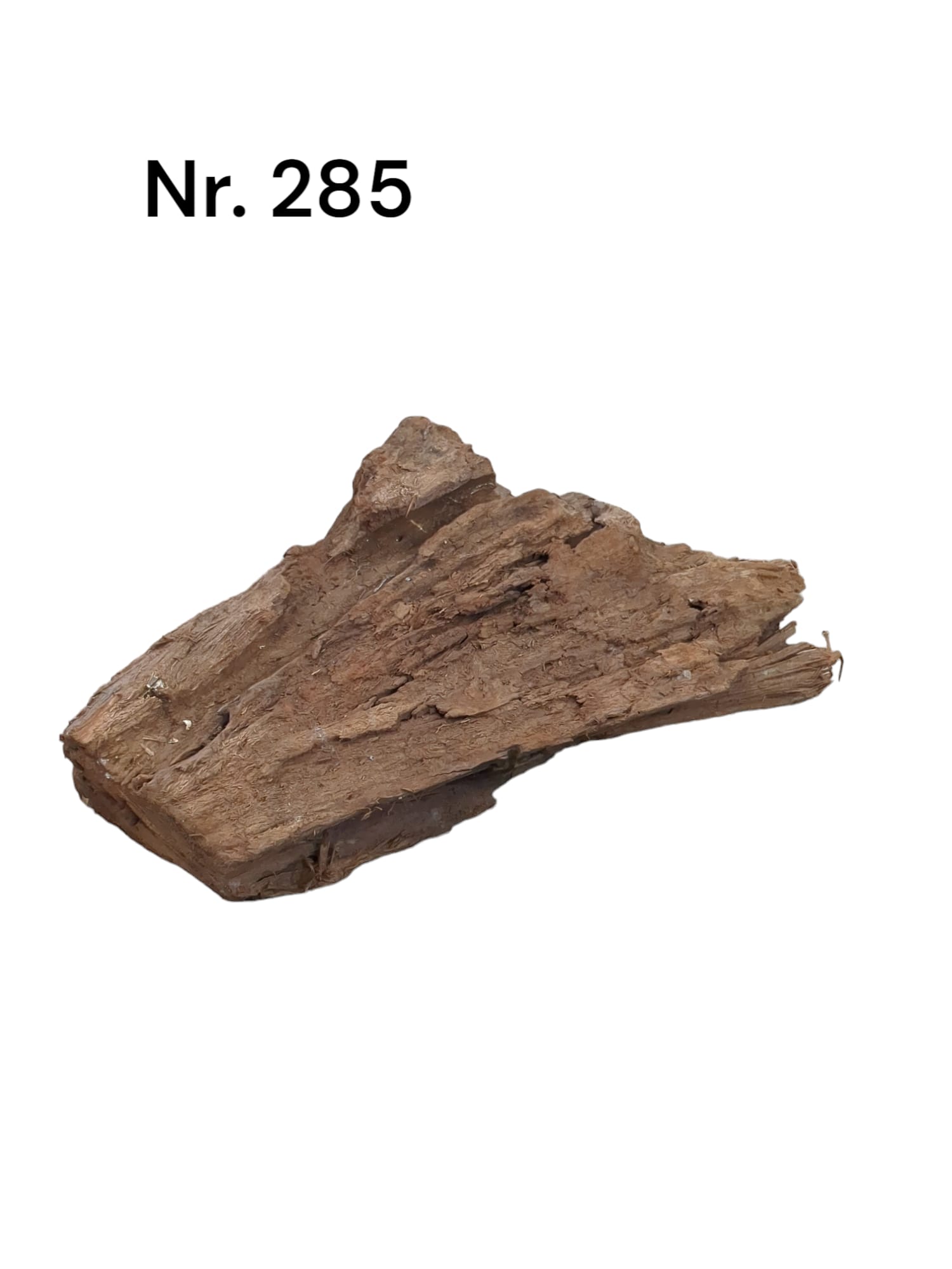Mangrovenwurzel Nr. 285