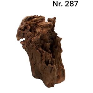 Mangrovenwurzel-Nr-287.jpg