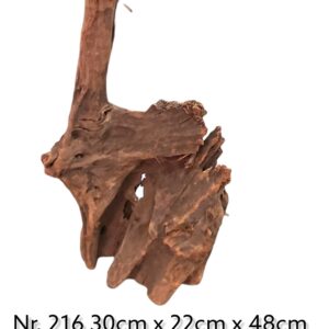 Mangrovenwurzel-Nr-216.jpg