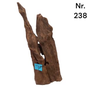 Mangrovenwurzel-Nr-238_WMEVlBP5WbdDF.jpg