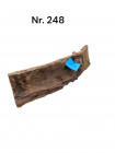 Mangrovenwurzel Nr. 248