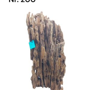 Mangrovenwurzel-Nr-200_1QmpBjAH3vhm80.jpg
