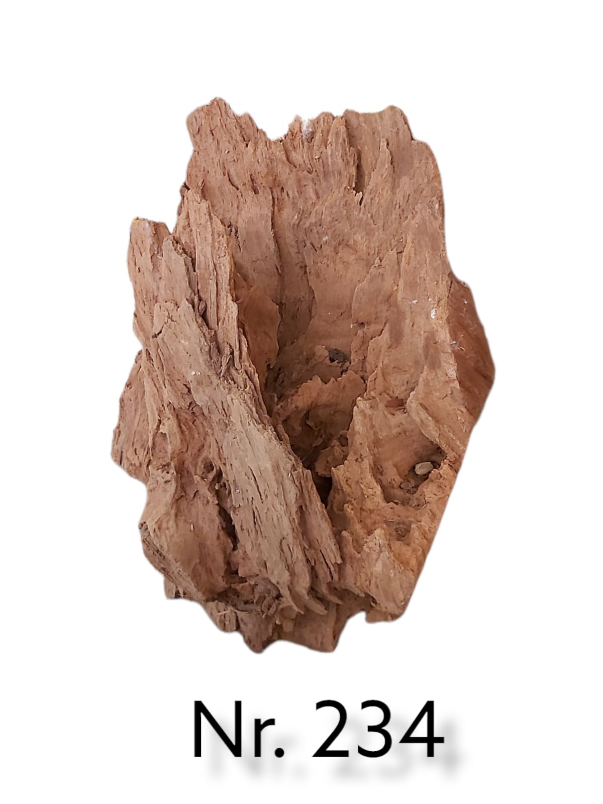 Mangrovenwurzel Nr. 234