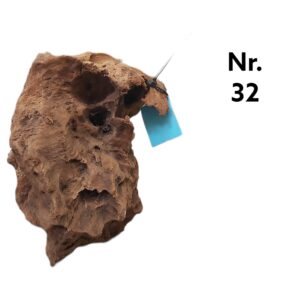 Mangrovenwurzel-Nr-32MVwRaJALR2cnT.jpg