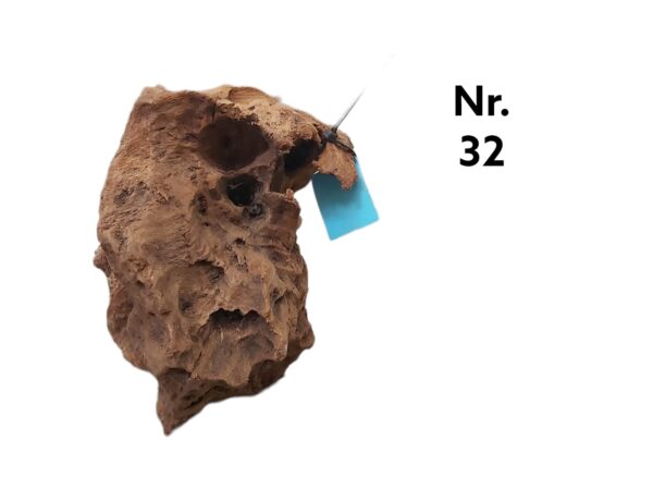 Mangrovenwurzel-Nr-32MVwRaJALR2cnT.jpg