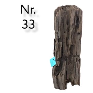 Mangrovenwurzel-Nr-33.jpg