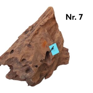 Mangrovenwurzel-Nr-7Op92WFOzMHtPR.jpg