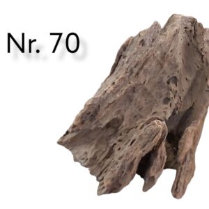 Mangrovenwurzel-Nr-70.jpg