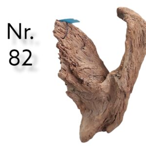 Mangrovenwurzel-Nr-82.jpg