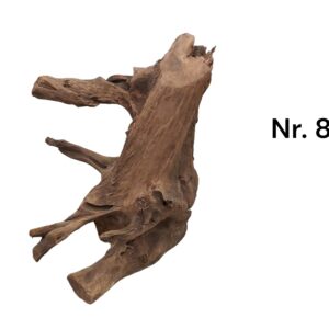 Mangrovenwurzel-Nr-8__.jpg