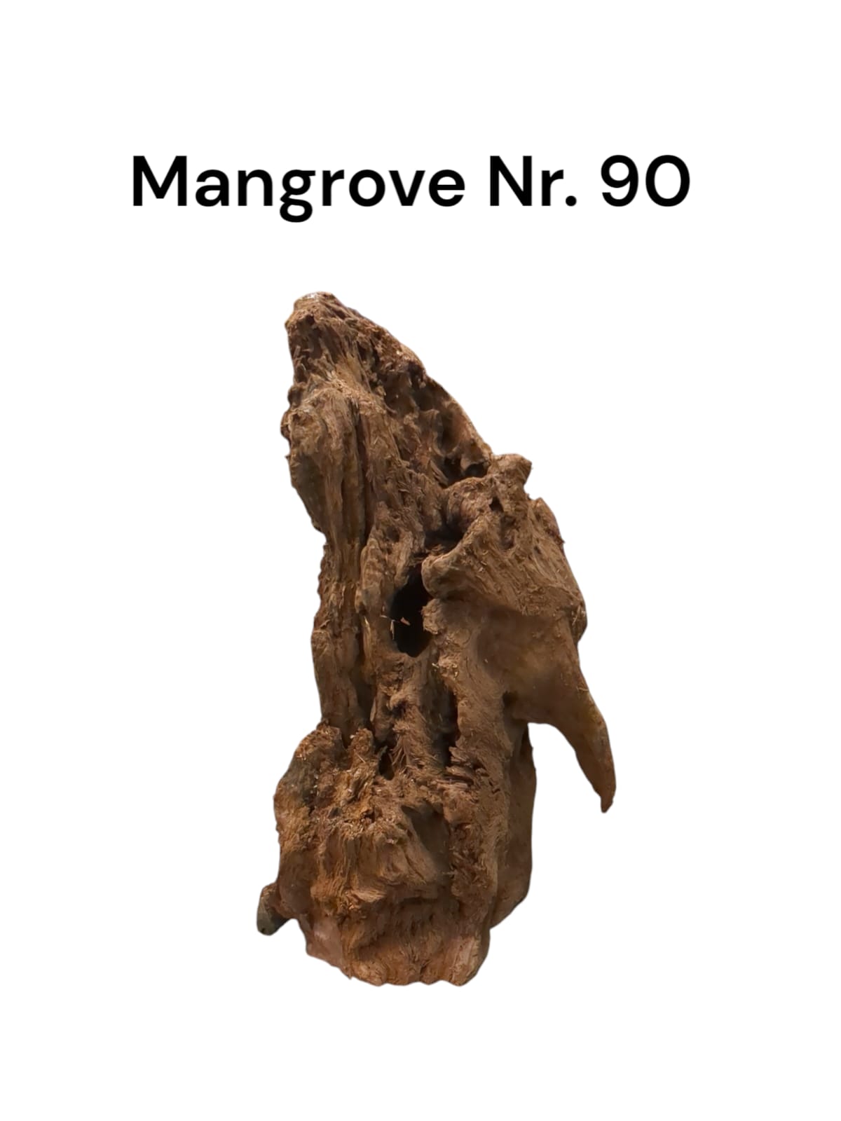 Mangrovenwurzel Nr. 90