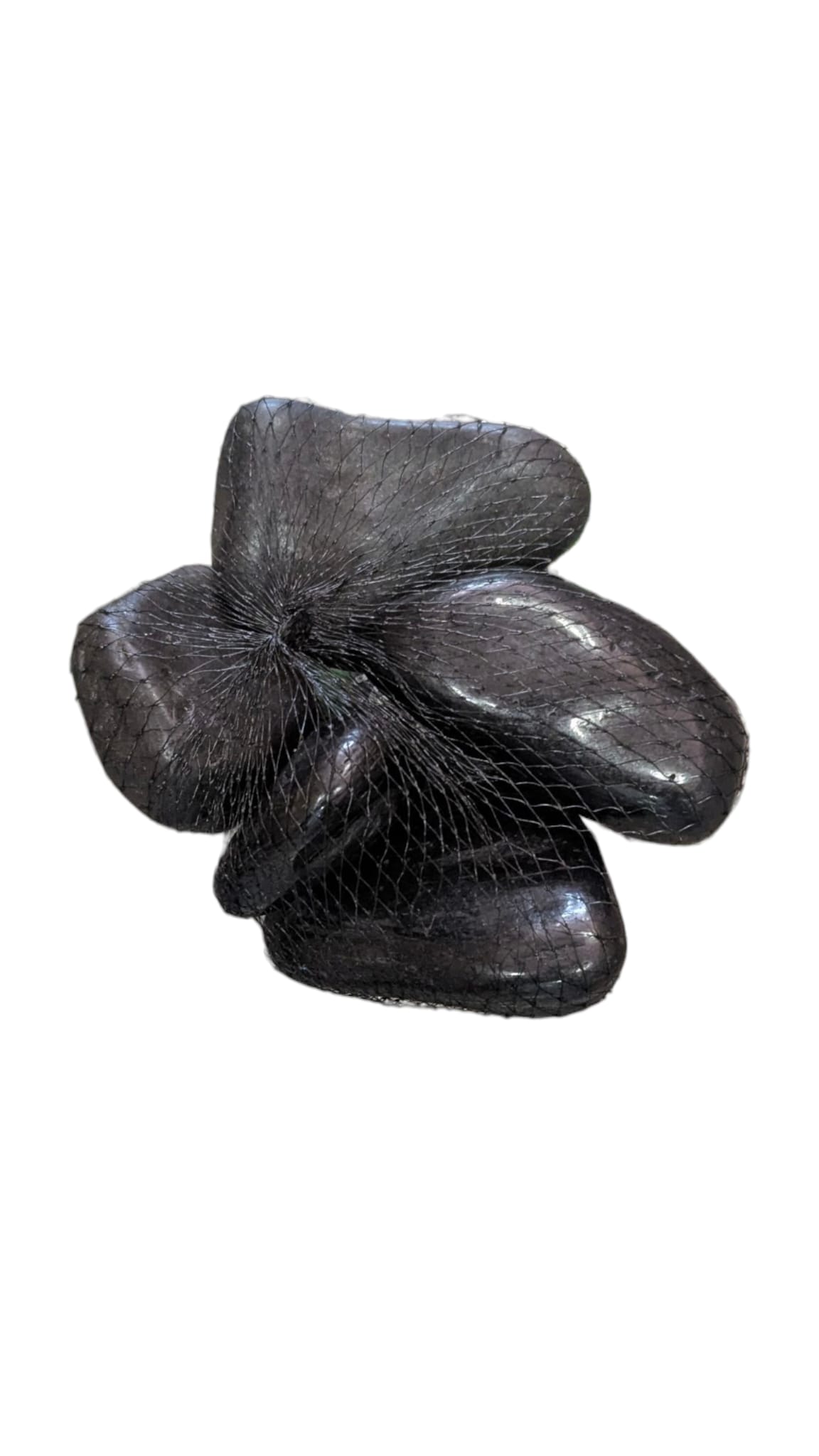 Schwarze Flusskiesel – Schwarze Aquariumsteine